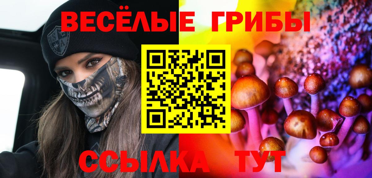 Галлюциногенные грибы прущие грибы  наркошоп  Псилоцибиновые грибы Magic Shrooms  Алапаевск  Вход с VPN 